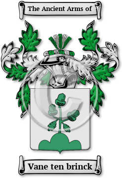 Vane ten brinck Family Crest Download (jpg) Legacy Series - 150 DPI